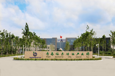 青岛绿色硅谷科技园 美丽乡村打卡地的科技与生态融合