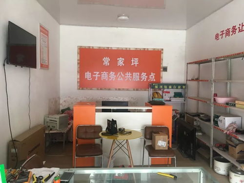 渭源县电子商务公共服务中心2019年电子商务服务发展报告